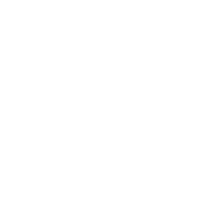 APP开发
